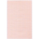 Papel Milimetrado A3 63g 50 Folhas Jandaia