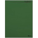 Caderno de Caligrafia Verde 48fls Tamoio