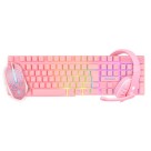 Combo Gamer Rosa (Teclado + Mouse + Fone) EG-53 Evolut