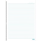 Caderno 10 Matérias Bom D+ Feminino 160fls São Domingos