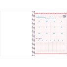Caderno 15 Matérias APS Teen 240fls Foroni