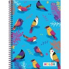 Caderno 15 Matérias Kolor 240fls Foroni