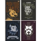 Caderno 15 Matérias Power Dog 240fls Foroni