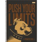 Caderno 15 Matérias Power Dog 240fls Foroni
