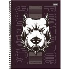 Caderno 15 Matérias Power Dog 240fls Foroni