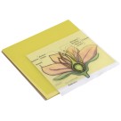 Notas Adesivas 75mm x 75mm - Transparente Color 50 Folhas Tris