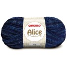 Lã Alice 9173 - Luau 100g Circulo
