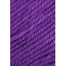 Lã Mollet 40g 0409 - Ametista Circulo