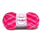 Lã Mollet 40g 9339 - Vibrante Circulo