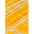 Lã Mollet 40g 9368 - Raio de Sol Circulo