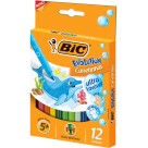 Canetinha Hidrográfica 12 Cores Bic