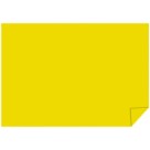 Papel Color Set 48x66cm - Amarelo c/20
