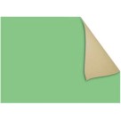 Papel Cartão Fosco 40x66cm - Verde Claro c/20