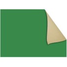 Papel Cartão Fosco 40x66cm - Verde Escuro c/20