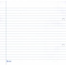 Folha de Linguagem 2 Furos Caderno Único 50 Folhas Tamoio