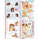 Caderno 10 Matérias Smoogies 160fls Foroni