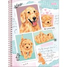 Caderno 10 Matérias Smoogies 160fls Foroni