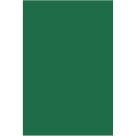 Placa de EVA Liso 40x60cm - Verde Escuro