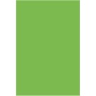 Placa de EVA Liso 40x60cm - Verde Grama
