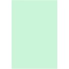 Placa de EVA Liso 40x60cm - Verde Hortelã