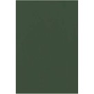 Placa de EVA Liso 40x60cm - Verde Musgo