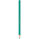 Lápis Preto N2 Evolution Sextavado HB Bic