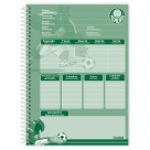 Caderno 10 Matérias Palmeiras 160fls Credeal