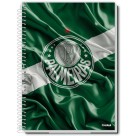 Caderno 16 Matérias Palmeiras 256fls Credeal
