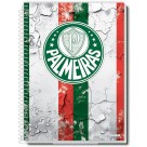 Caderno 16 Matérias Palmeiras 256fls Credeal