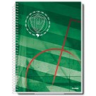 Caderno 16 Matérias Palmeiras 256fls Credeal
