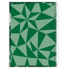 Caderno 16 Matérias Palmeiras 256fls Credeal