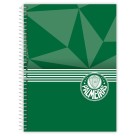 Caderno 16 Matérias Palmeiras 256fls Credeal