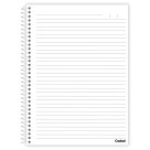 Caderno 16 Matérias Palmeiras 256fls Credeal