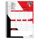 Caderno 16 Matérias São Paulo 256fls Credeal