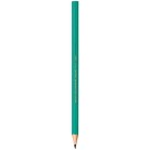 Lápis Preto N2 Evolution Sextavado HB c/12 Bic