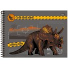 Caderno de Cartografia Sauros 80 Folhas Foroni