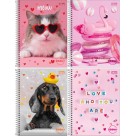 Caderno 16 Matérias Zoom+ Feminino 256 Folhas Tilibra