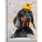 Caderno 20 Matérias Zoom+ Feminino 320 Folhas Tilibra
