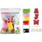 Kit Massinha de EVA com Moldes e Ferramentas 60g - Animais Make+