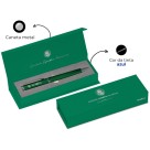 Caneta Esferográfica 1.0mm Executiva - Palmeiras Brasfoot
