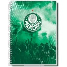 Caderno 1 Matéria Palmeiras 80 Folhas Credeal