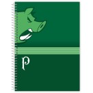 Caderno 1 Matéria Palmeiras 80 Folhas Credeal