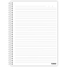 Caderno 1 Matéria Palmeiras 80 Folhas Credeal