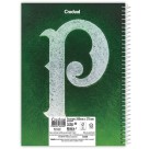 Caderno 1 Matéria Palmeiras 80 Folhas Credeal
