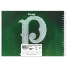 Caderno de Cartografia Palmeiras 80 Folhas Credeal