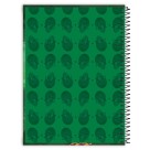 Caderno 10 Matérias Irmão do Jorel 160 Folhas Credeal