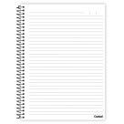 Caderno 10 Matérias Irmão do Jorel 160 Folhas Credeal