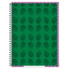 Caderno 10 Matérias Irmão do Jorel 160 Folhas Credeal