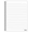 Caderno 10 Matérias Craque Neto - Corinthians 160 Folhas Credeal