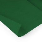 Papel Crepom Simples 48cm x 2m - Verde Bandeira